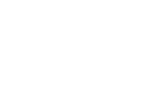 Logo Audi